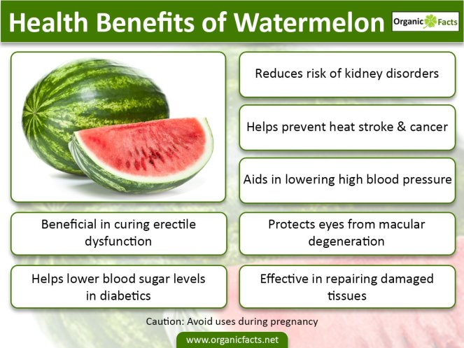 watermeloninfo02